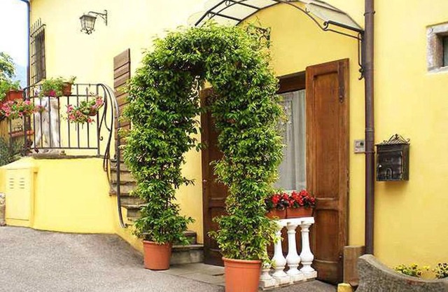 Ulivo Rosso