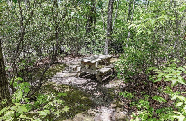 Unique Cabin w/ Fire Pit and Tennis On Site