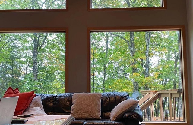 Unique feature cottage, forest, trail, lake & more...