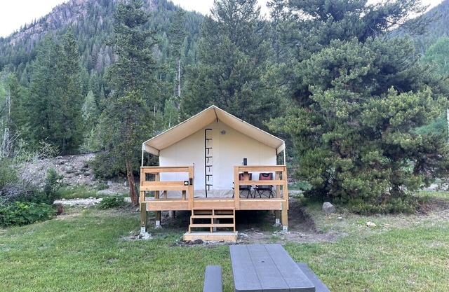 Unique Glamping Experience