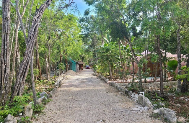 Unique Jungle Dome Ha With Kitchen