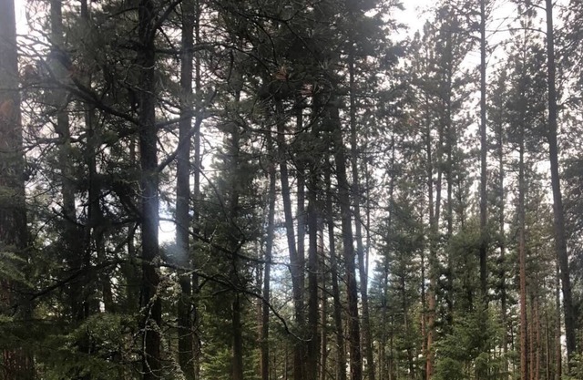 Unique Montana Adventure