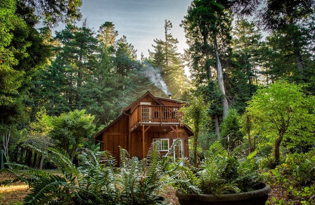 Unique retreat surrounded by redwoods - outdoor tub & wood stove, dog-friendly