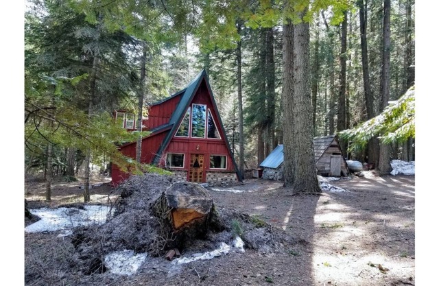 Unplug! Tranquil, Private, Pet-Friendly Rustic Cabin in the Woods
