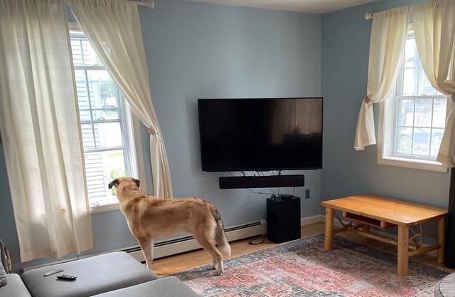 Updated downtown BTV condo with lake view!