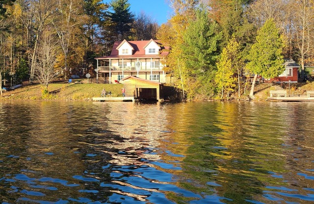 Upper Pine-insula cabin, many amenities, pets welcome
