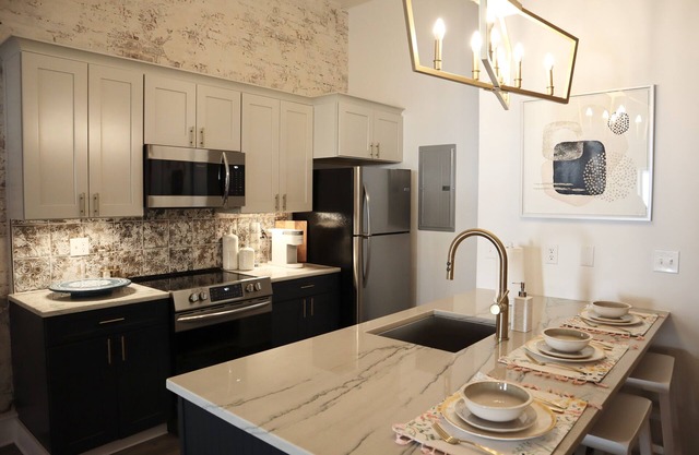 Upscale Apartment in the Heart of Downtown Columbia!