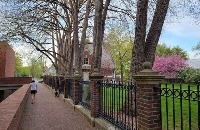 Upscale Downtown 2BR w/ Private Deck, Full Kitchen