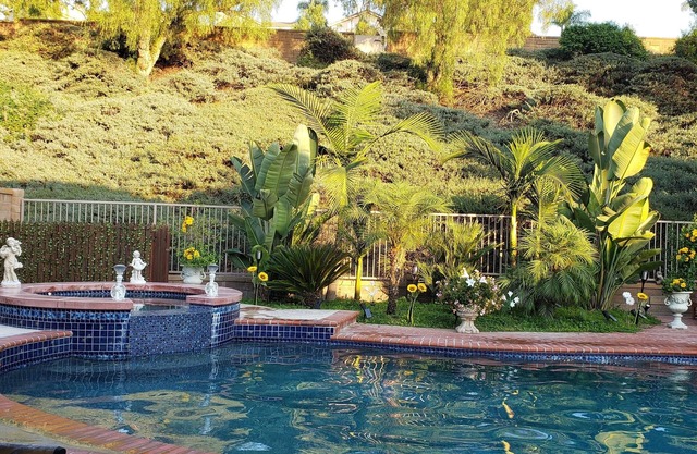 Upscale family home w/heated pool-- Near beaches/legoland/Disneyland!