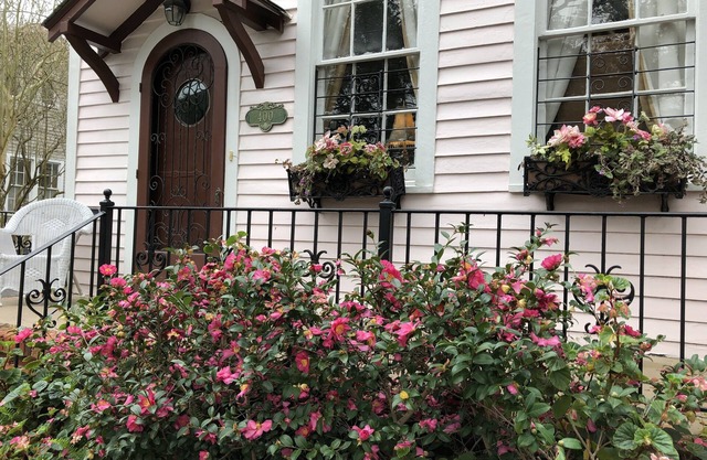UPTOWN NEW ORLEANS NEAR PARK, UNIVERSITIES, ST. CHARLES AV. 400 MILLAUDON ST.