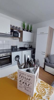 URBAN HARMONY APARTMENT Maribor