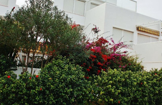 Urbanizacion Puerto Rey