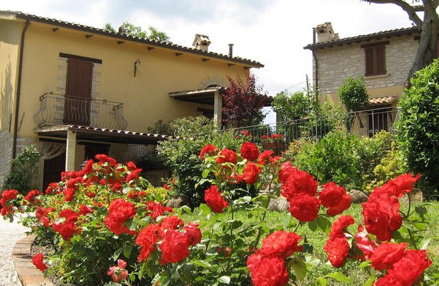 URBINO UND SEINE TALE
