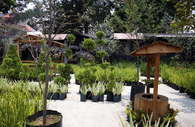 Utopía Hotel Boutique