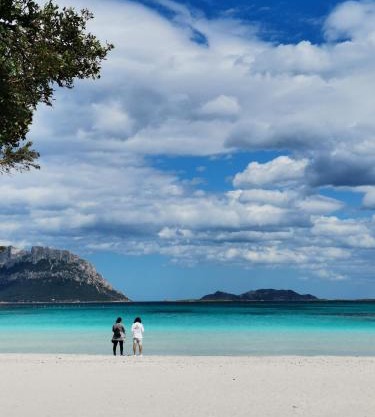 Vacanze da sogno a pochi km. da Olbia