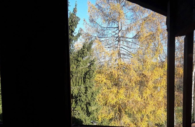 Ferienwohnung "Ilztalblick" (75 qm) mit Balkon