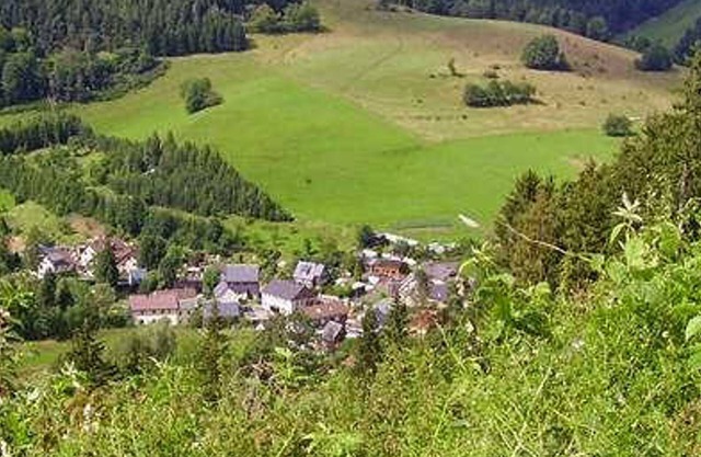 Ferienwohnung 1 - Ferienhaus - Hotel Steiger