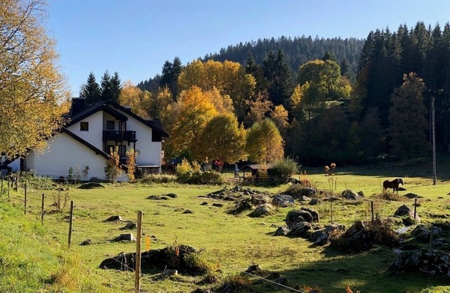 Ferienwohnung/App. für 4 Gäste mit 43m² in Schluchsee (268609)