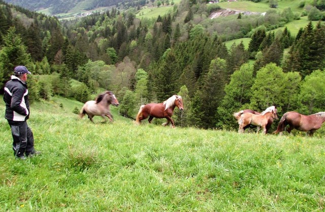 Ferienwohnung "Almhütte" - Ferienwohnungen Maderebner