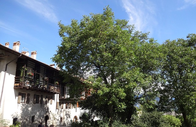 Wohnung zwischen dem Gardasee, Lago Tenno Molvenosees TermeComano