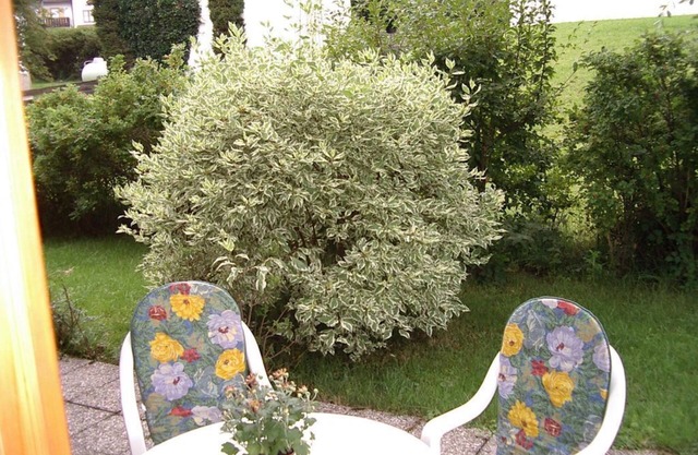 Ferienwohnung Smandzik - Ferienwohnung