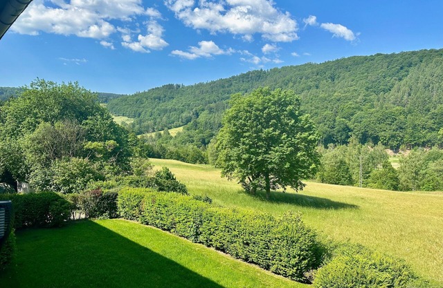 Vacation apartment/apartment for 2 guests with 55m² in Langelsheim (297516)