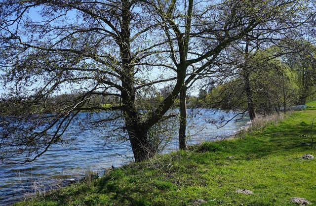Ferienwohnung direkt am Großen Plöner See