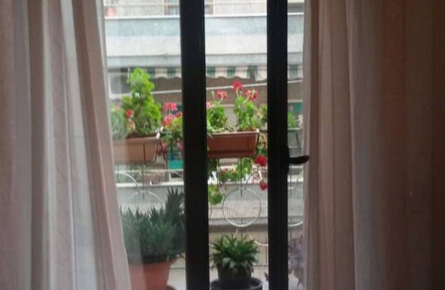 Vacation apartment