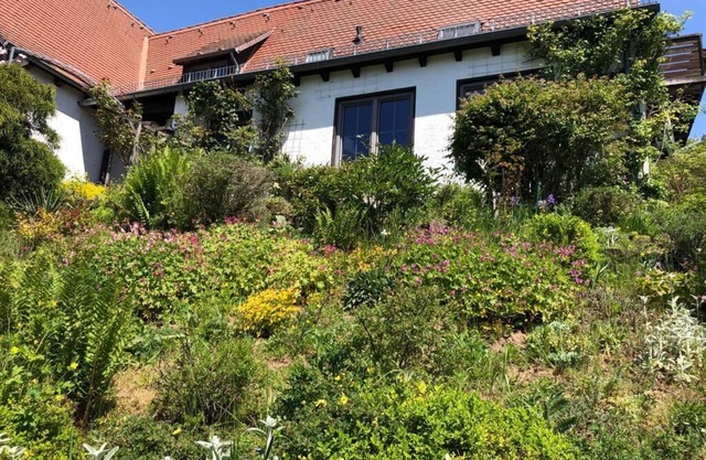 Ferienwohnung Kellerwald