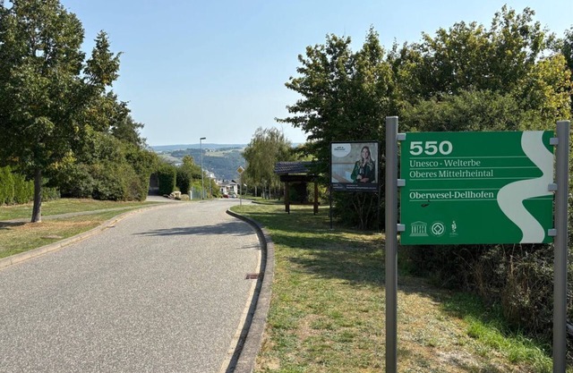 Ferienwohnung "Mittelrhein-550"