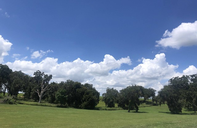 Spacious Getaway located 50 min. from Tampa or Orlando, FL