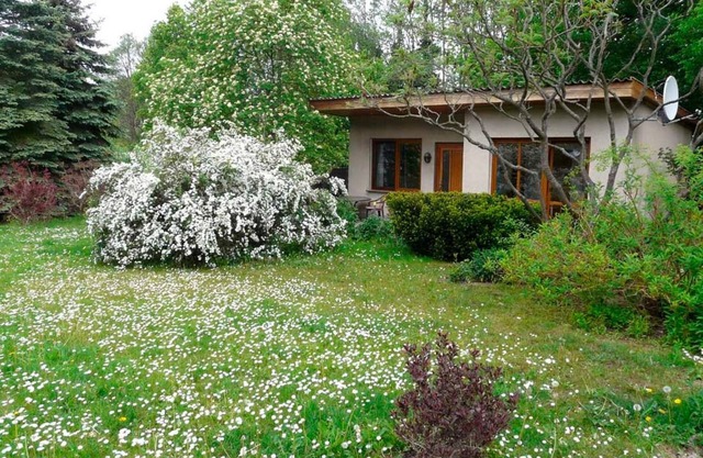 Ferienhaus für 3 Gäste mit 42m² in Kuchelmiß (155834)