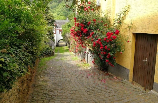 Ferienhaus Gisela an der Mosel
