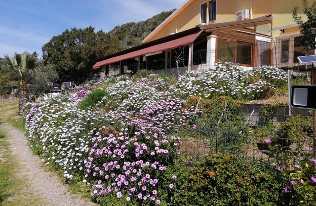 Ferienhaus 'Il Lentischio - Rosmarino' in Cala Lunga 200 Meter vom Meer entfernt