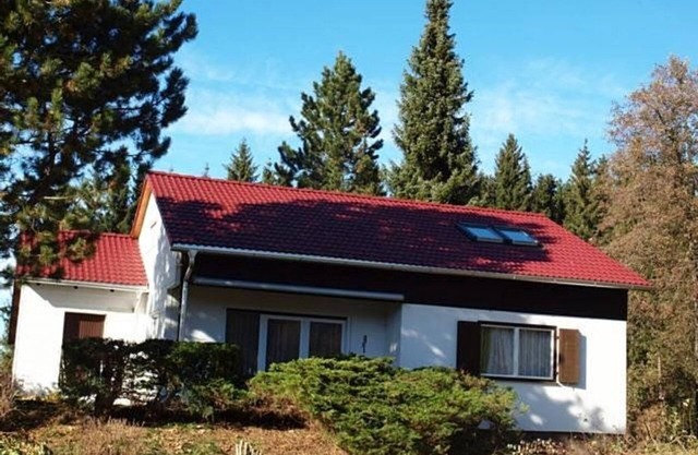 Ferienhaus im Feriendorf Reichenbach (B20) - Ferienhaus mit großer Terrasse und