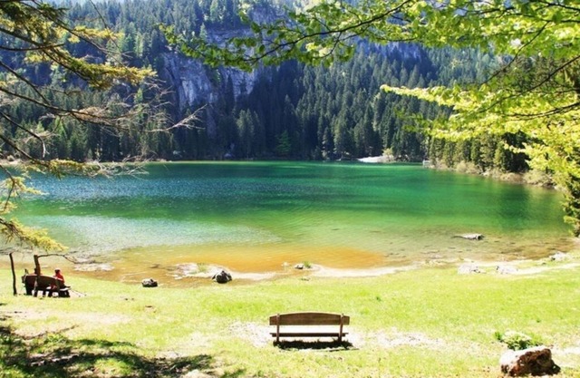 Casa Vacanza Iris- Vacanza Relax A Contatto CON LA Natura