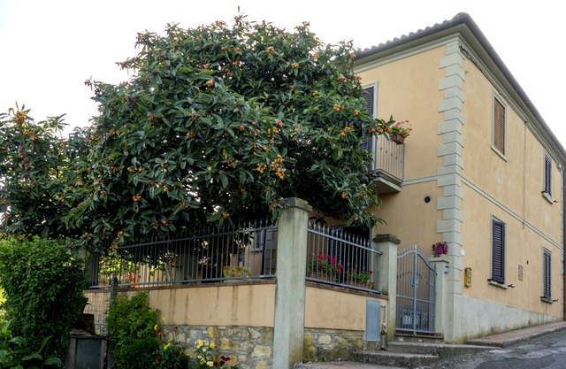 Vacation Home La Lodola, in the Tuscan countryside with views of the valley