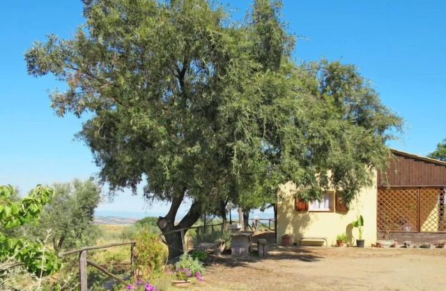 Vacation home San Giorgio in Scansano - 4 persons, 2 bedrooms