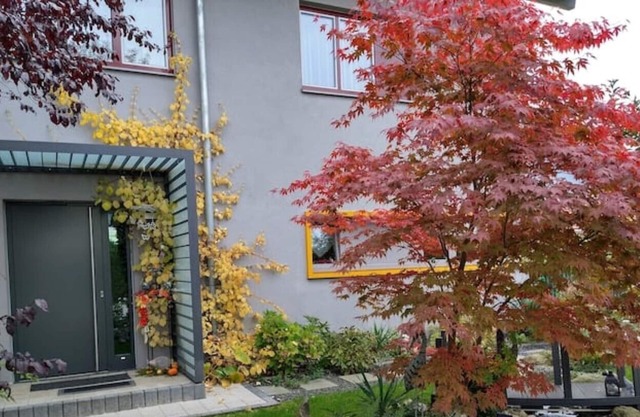 Vacation in beautiful Chiemgau - Studio