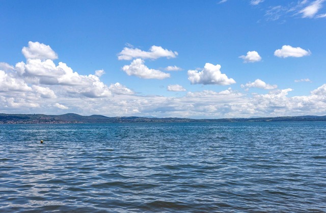 2 Zimmer Unterkunft in Bracciano