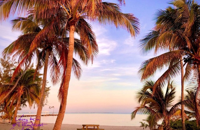 🏝️VACAY KAI: Beachfront 1 Bdrm Penthouse. SPECIAL:‼️Discount‼️ for 7+ Days Rental‼️