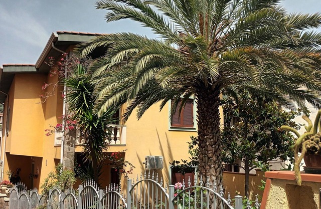 Valentina's Garden House