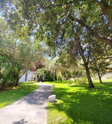 Valley View Apartment