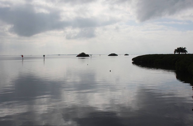 Very Clean Waterfront Condo Close to Tarpon Springs and Dunedin