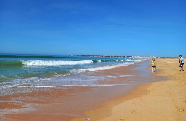 Very nice apartment with all comforts, south-facing terrace, sea view, swimming pool, beach on foot.
