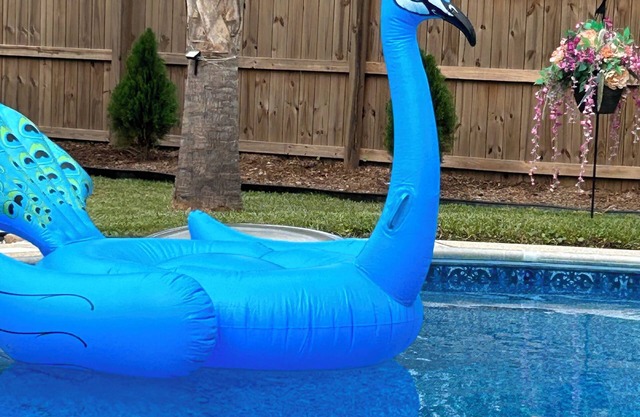 Very Private Home w/ HEATED Pool, Palm Trees and Big Fenced Yard.