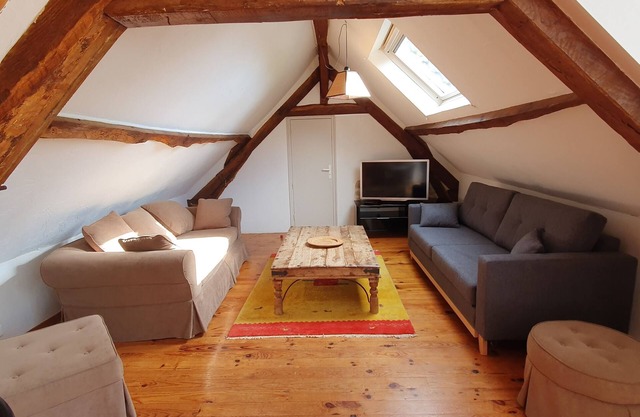 Very spacious apartment close to a fishing lake and pedestrian zone.