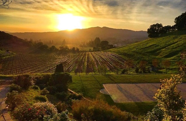 Vezer Family Vineyard Private Estate. Endless views of vineyards, hillsides.