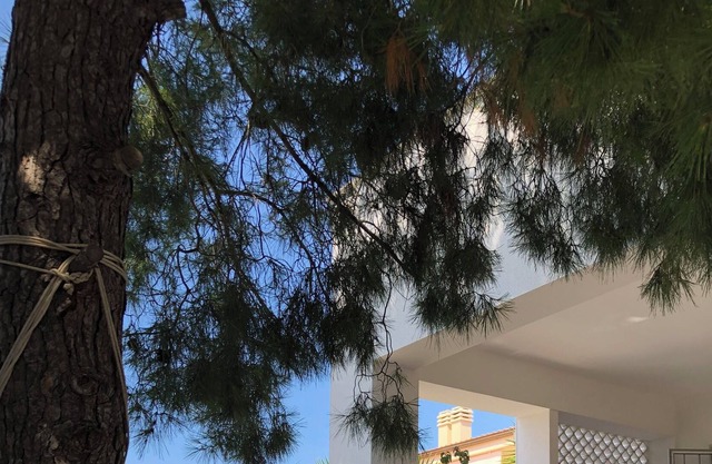 Villa Enza - Holiday home, 150 steps from the sea (150 steps from the sea)