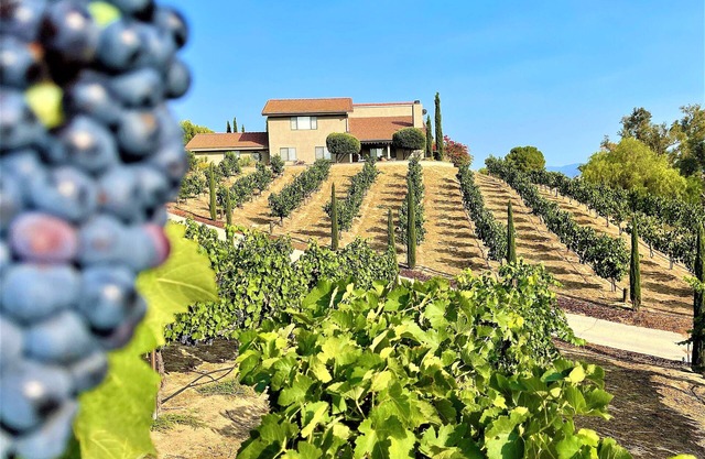 Via Vino Vineyard Estate - Hot Air Balloon Views